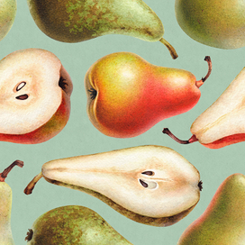 Акварельные иллюстрации груш и яблок