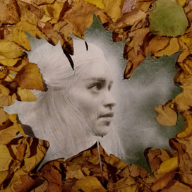 Мои рисунки на листьях