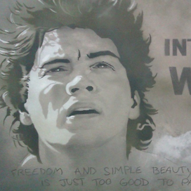 плакат к фильму "в диких условиях"