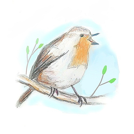 Зарянка весной