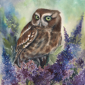 А у совы весна!