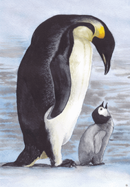 Пингвинчики