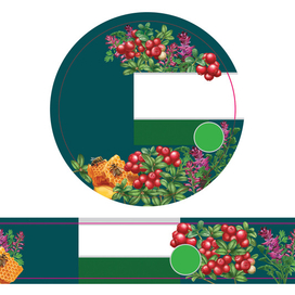 Ботаническая иллюстрация