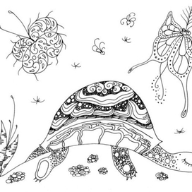 Безмятежный сон черепашки