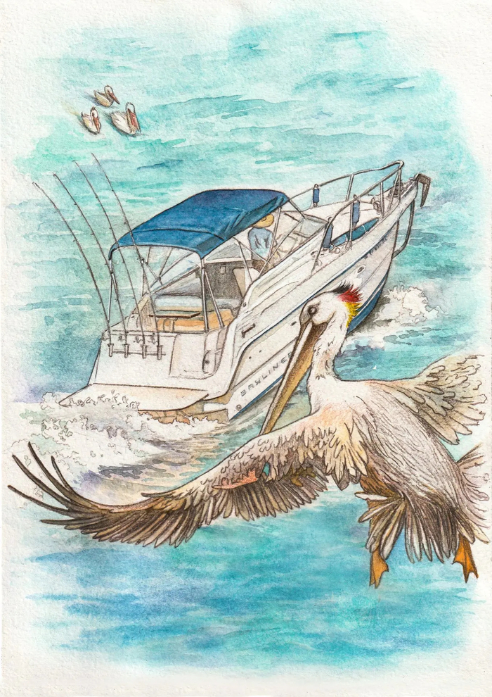 Ил. к рассказу Д. Черных и О. Чувакина "Пеликанья хирургия"