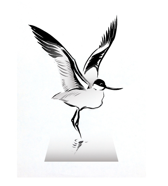 Птица у воды