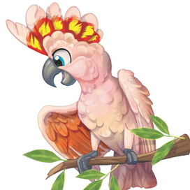 Какаду инка для обложки