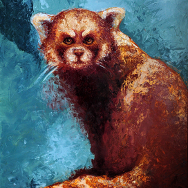 Красная панда