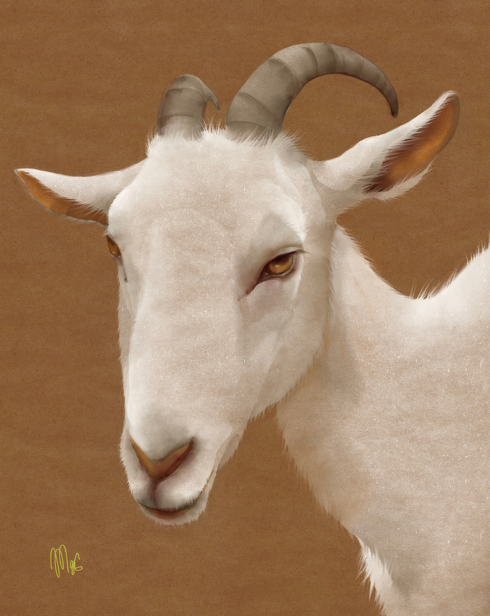 Без названия