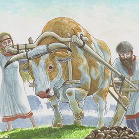 ПоднеВОЛьный ВОЛонтёр.