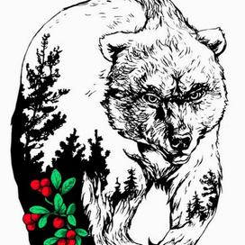 Медведь, рисунок на принт