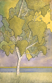 Берёзка Навь