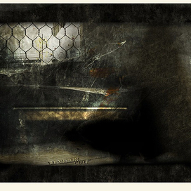 Revision cult (сплэш скрин для почившего revision)