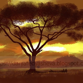 Африканская акация