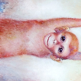 Одна обезьяна