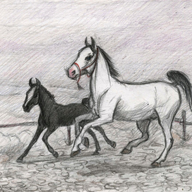 вспоминаюкакрисоватьлошадей