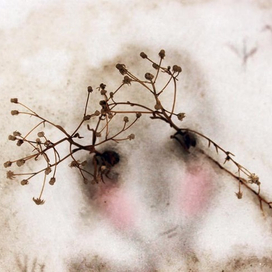 снежное нежное