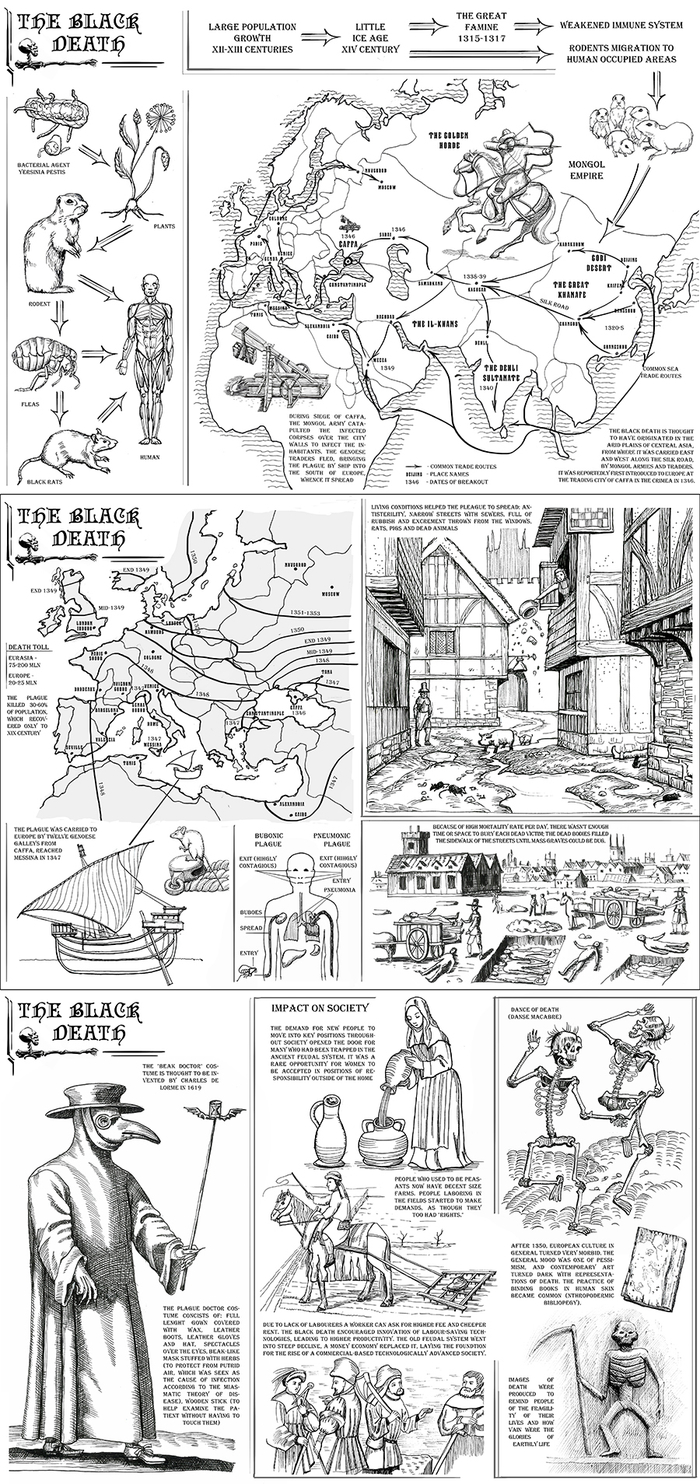 Чума в 14 веке