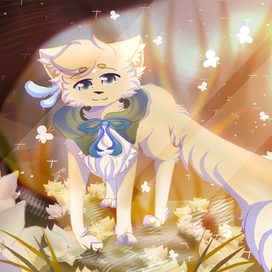 Знакомьтесь , Миру