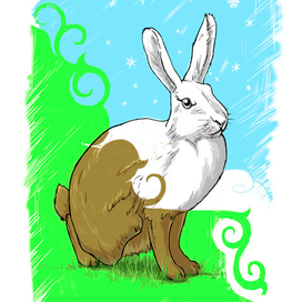 Снег и заяц