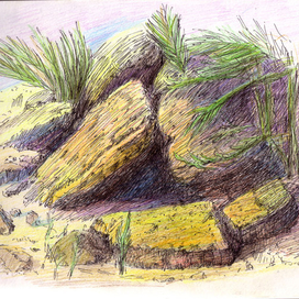 камни на берегу 