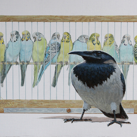 свите-место