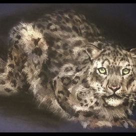 Снежный барс