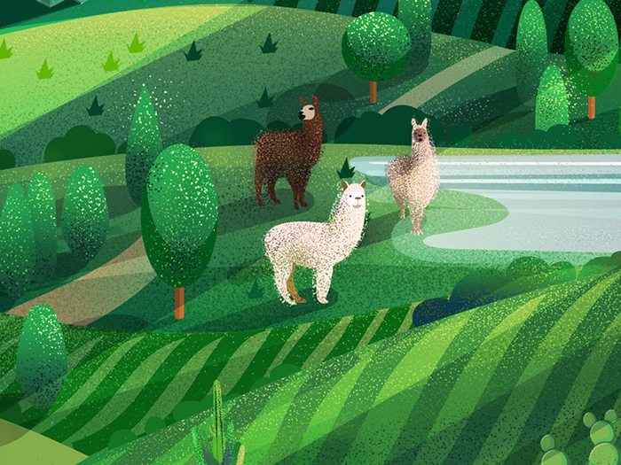 Ламы (фрагмент)