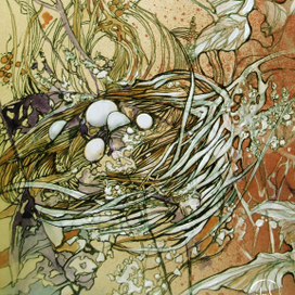 ∙✧Wild bird✧∙