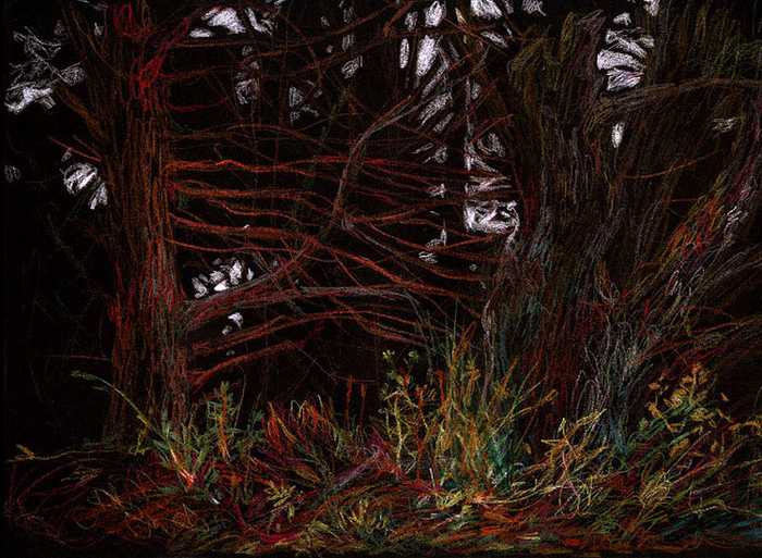 new zealand . black.6