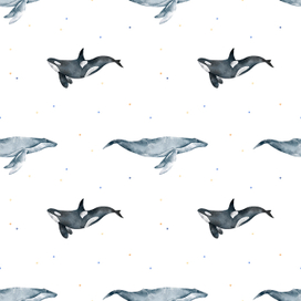 Морской детский принт с млекопитающими, киты, касатки
