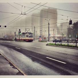 Туман в городе