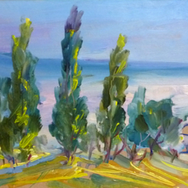 Легкий ветерок на море