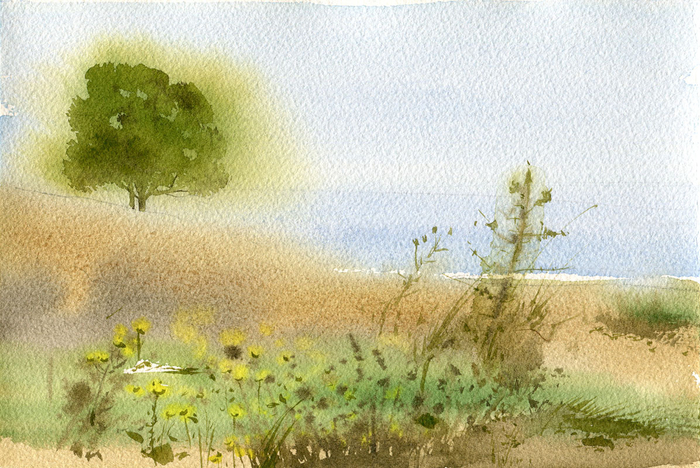 Летний зной