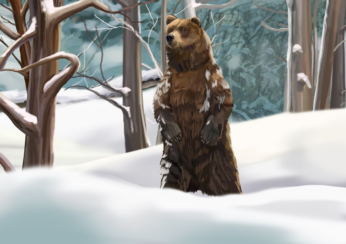 Мишка в лесу