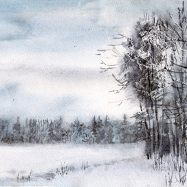 Зимний день. Комарово.