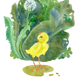 Чуковский. Цыпленок