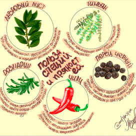 Серия иллюстраций "Польза специй и пряностей"