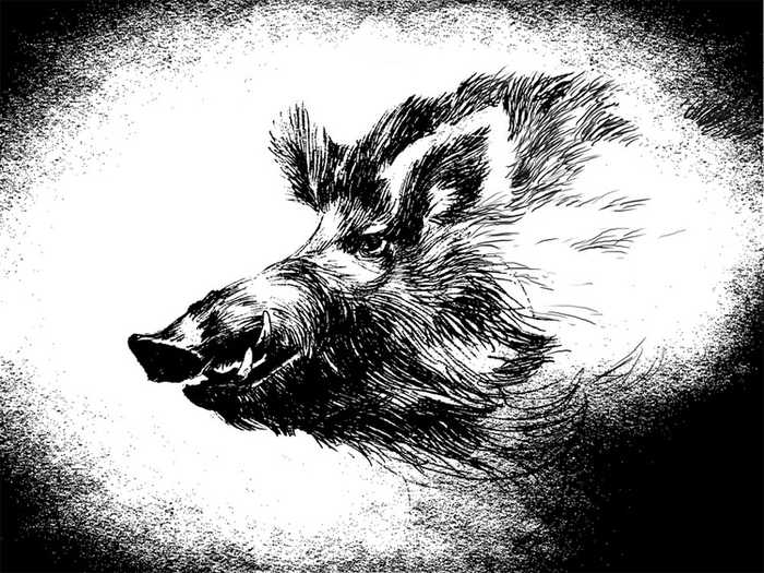 Звуки  ночного  леса