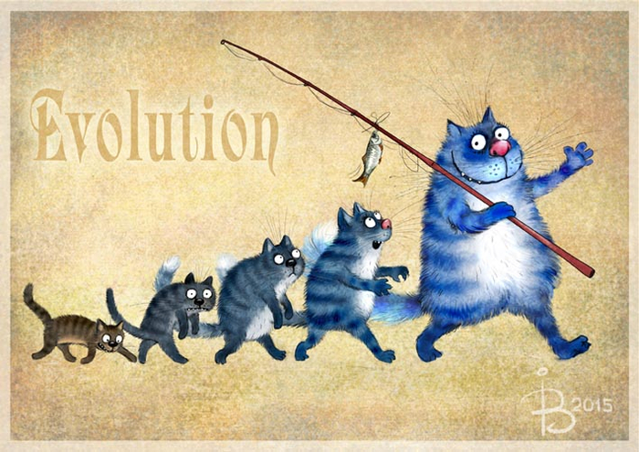 Эволюция котиков