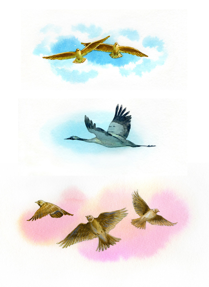 Заставки. Птички.