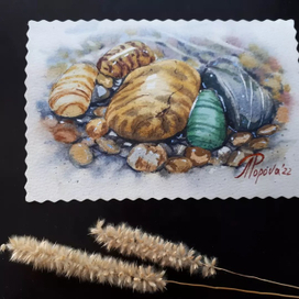 Открытка из серии "Дары моря"