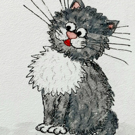 Пушистый котик