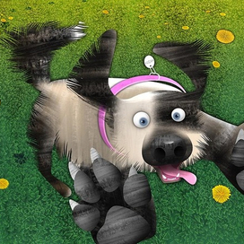 Nimbus The Cloud That Lost Its Silver Lining