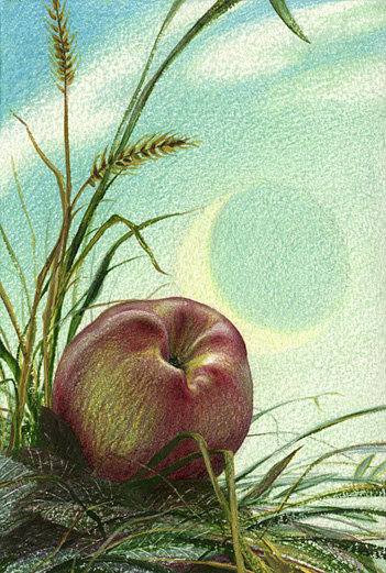 ДВЕ ПЛАНЕТЫ