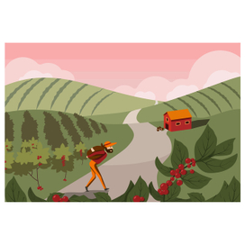 A man collects coffee on his plantation