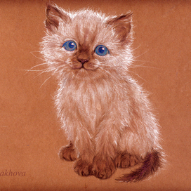 "Котяка-улыбака"