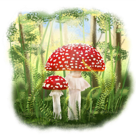 Иллюстрация для книги