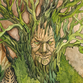 Старое дерево