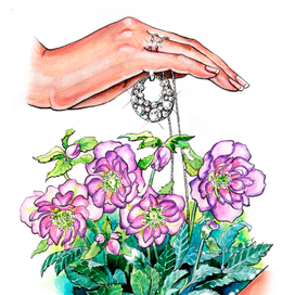 Морозник из серии Сохрани первоцветы